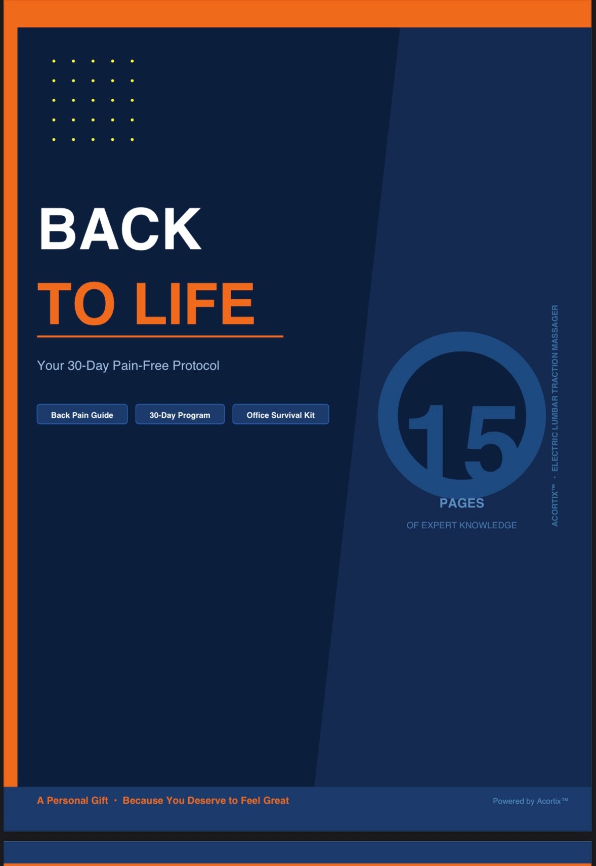 E-book “Back to Life: Your 30-Day Pain-Free Protocol”